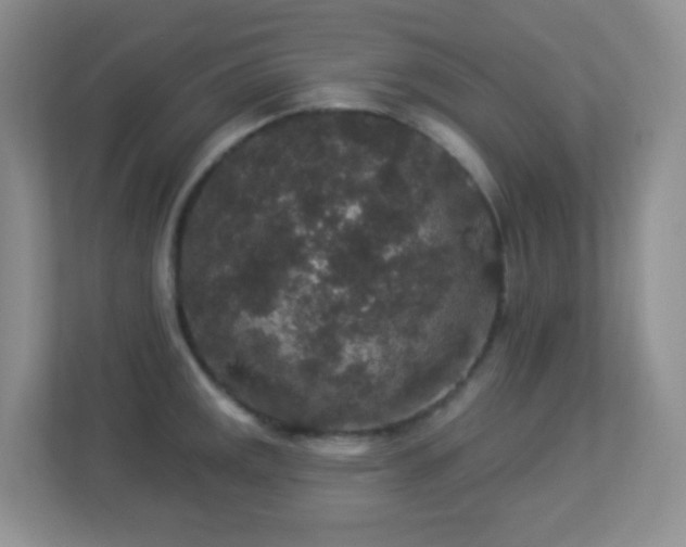 X0000113881141200909241347