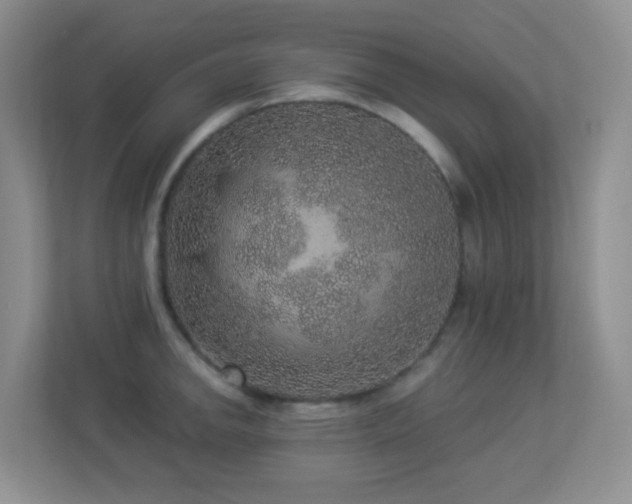 X0000113881142200909241347