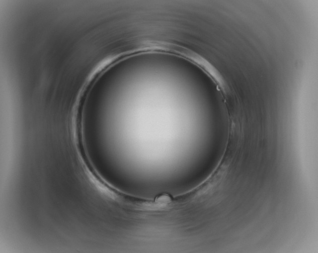 X0000113881143200909241347