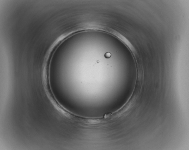 X0000113881144200909241347