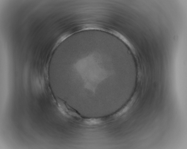 X0000113881145200909241347