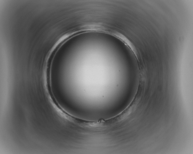 X0000113881147200909241347