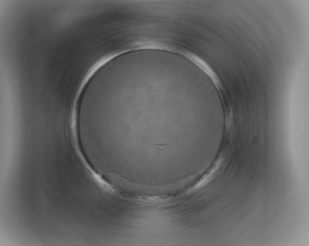 X0000113881149200909241347