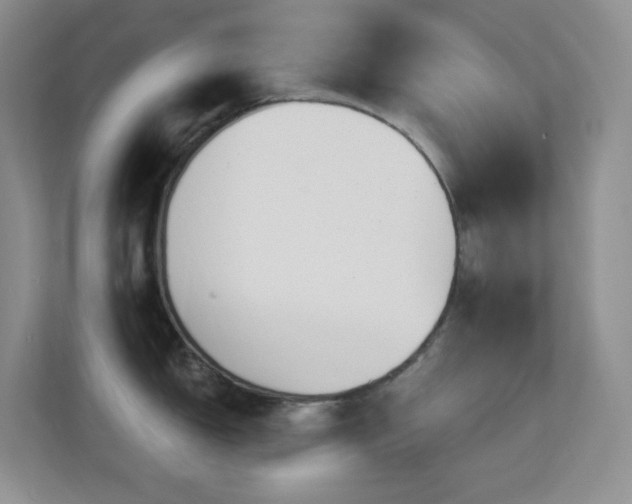 X0000113881150200909241347