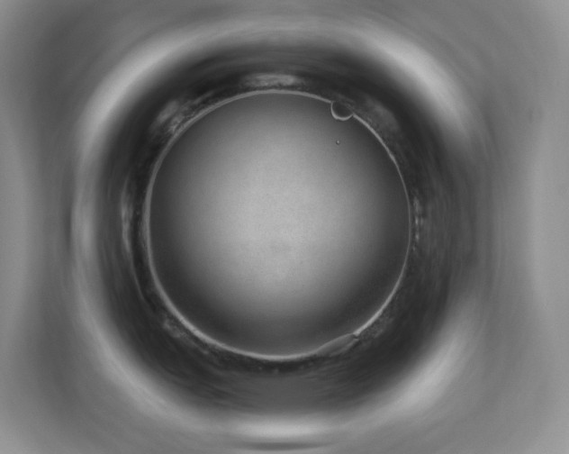 X0000113881151200909241347