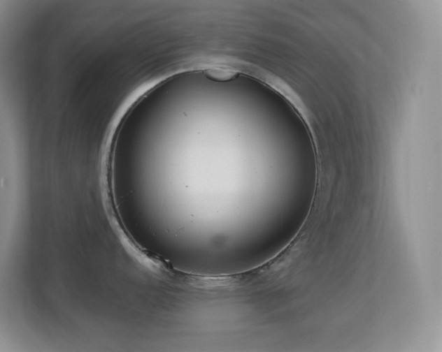 X0000113881152200909241347
