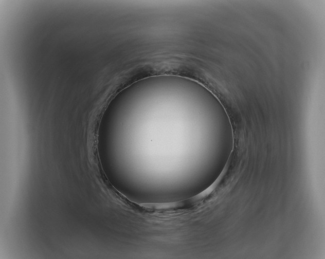 X0000113881153200909241346
