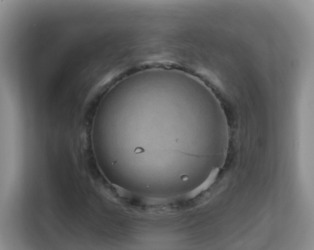 X0000113881159200909241346