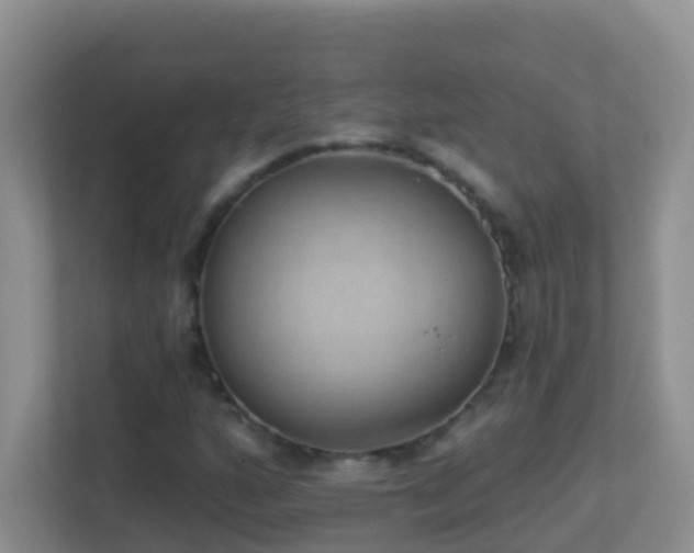 X0000113881160200909241346