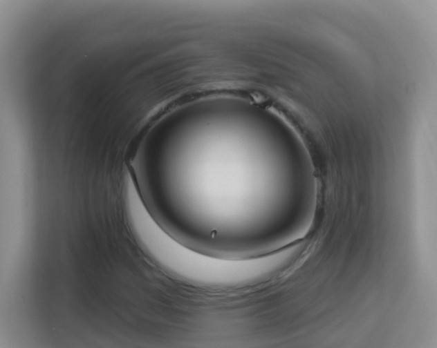 X0000113881161200909241346