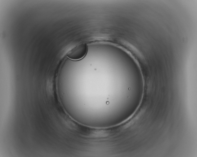 X0000113881162200909241346