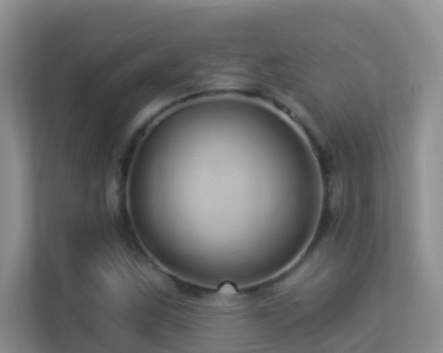 X0000113881163200909241346