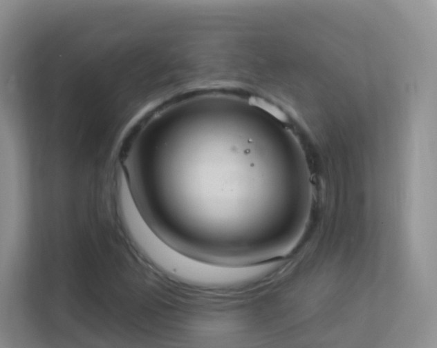 X0000113881165200909241346