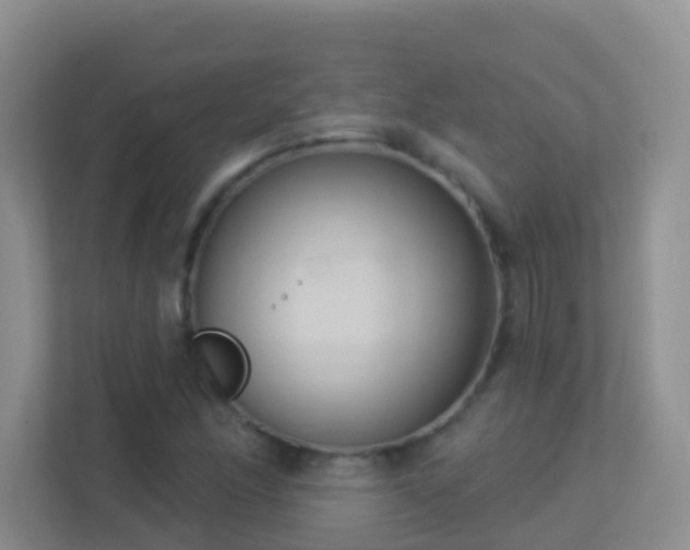 X0000113881166200909241346