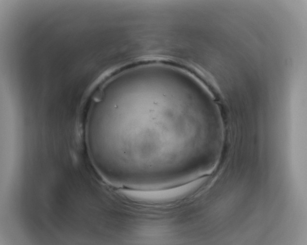 X0000113881167200909241346