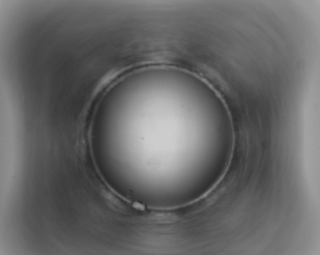X0000113881168200909241346
