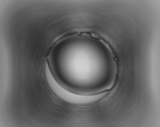 X0000113881169200909241346
