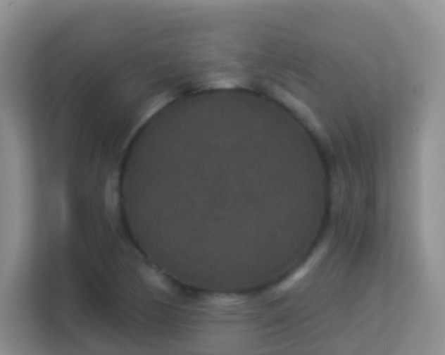 X0000113881170200909241346