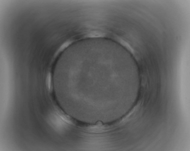 X0000113881171200909241346
