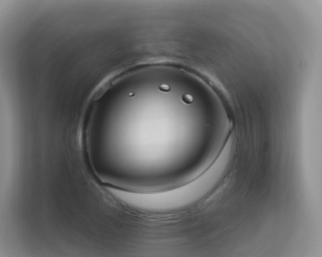 X0000113881173200909241346