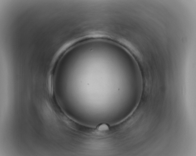 X0000113881175200909241346