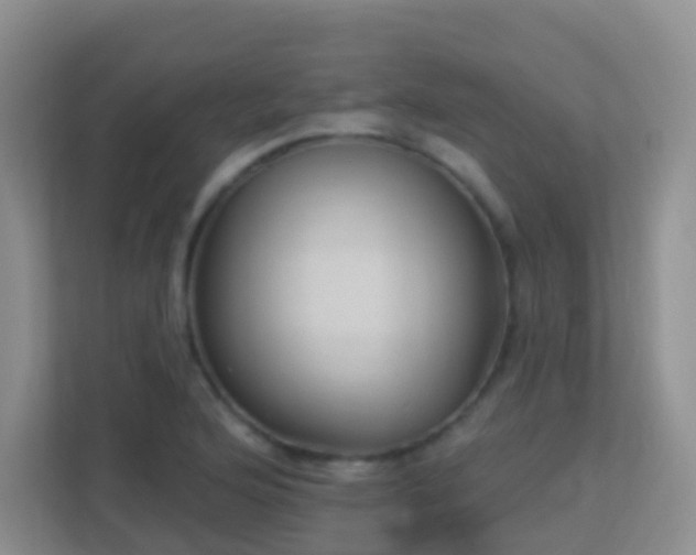 X0000113881176200909241346
