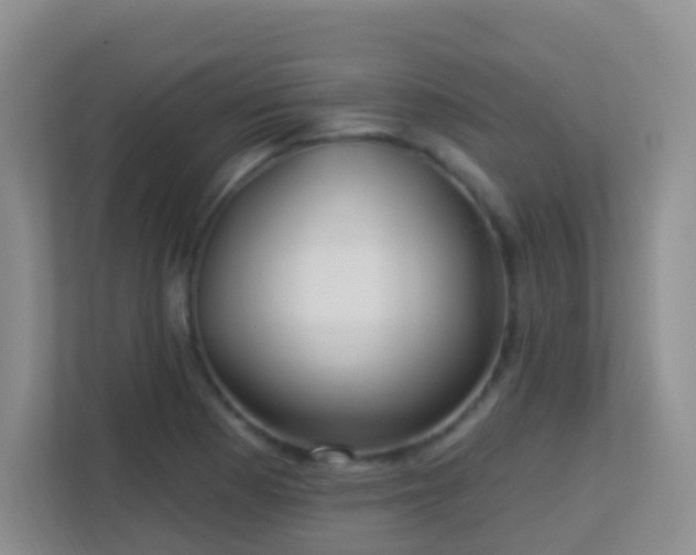 X0000113881177200909241346