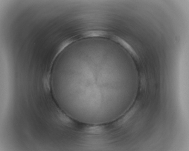 X0000113881178200909241346