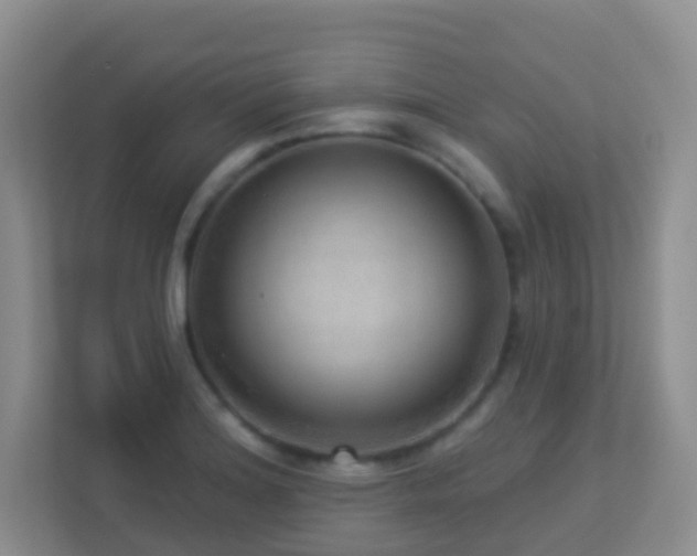 X0000113881180200909241346