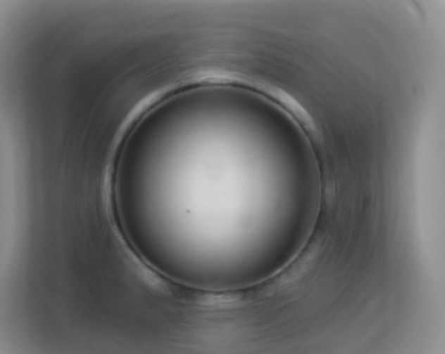 X0000113881183200909241346