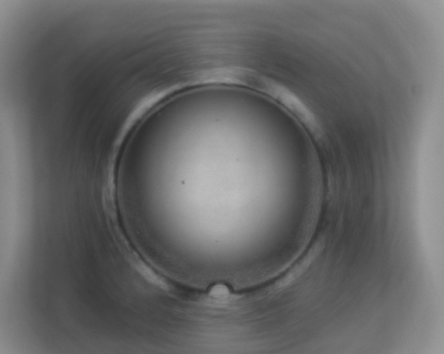 X0000113881184200909241346