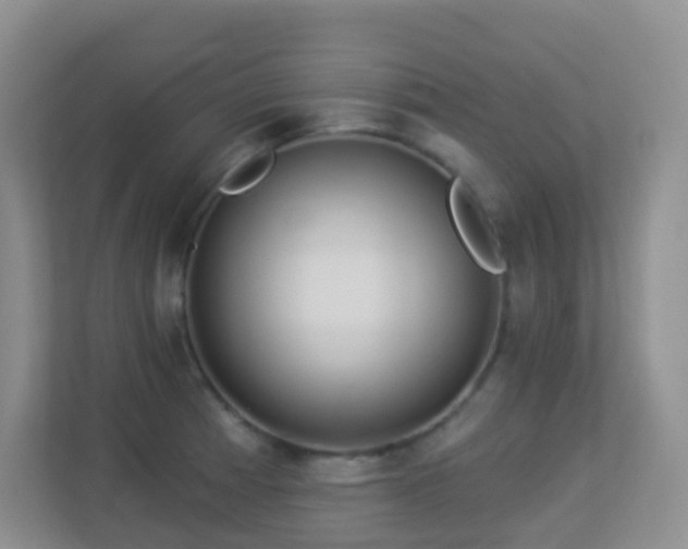 X0000113881185200909241346