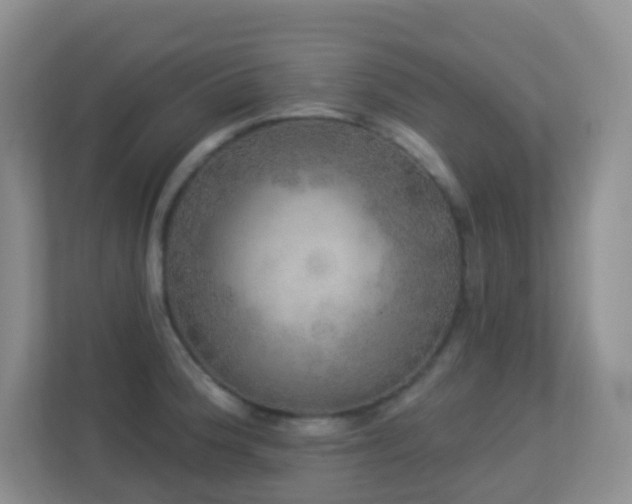 X0000113881188200909241346