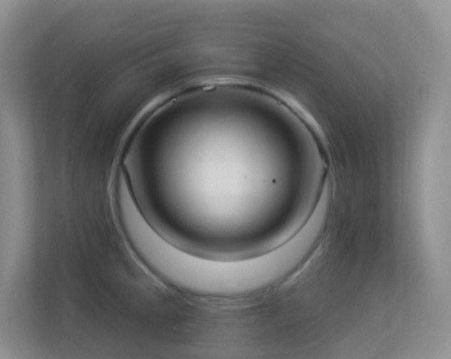 X0000113881189200909241346