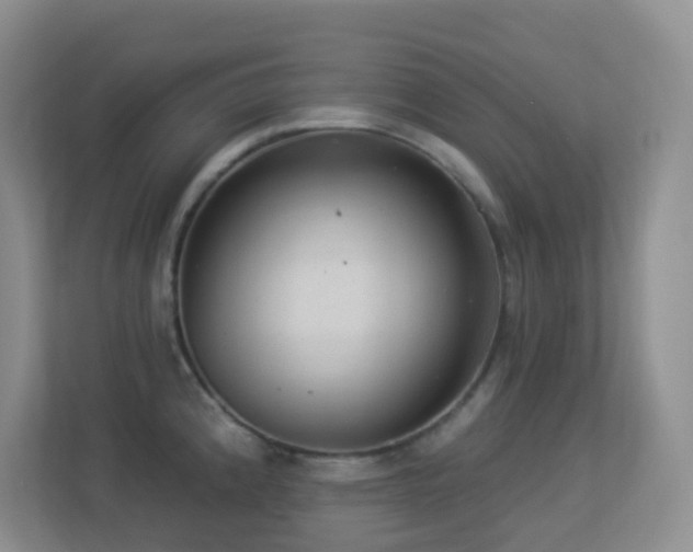 X0000113881192200909241346