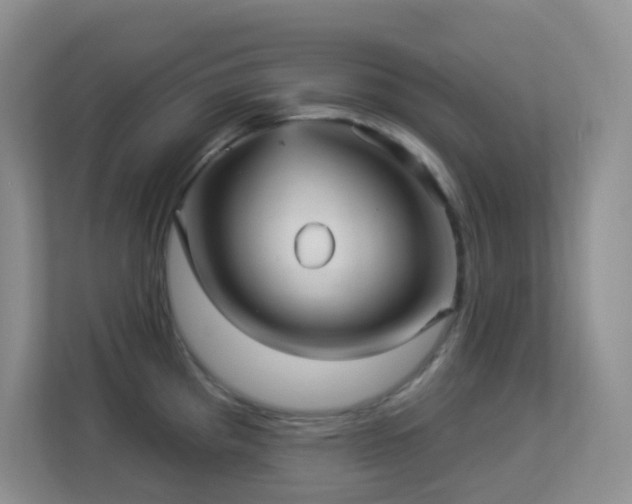 X0000113881193200909241346