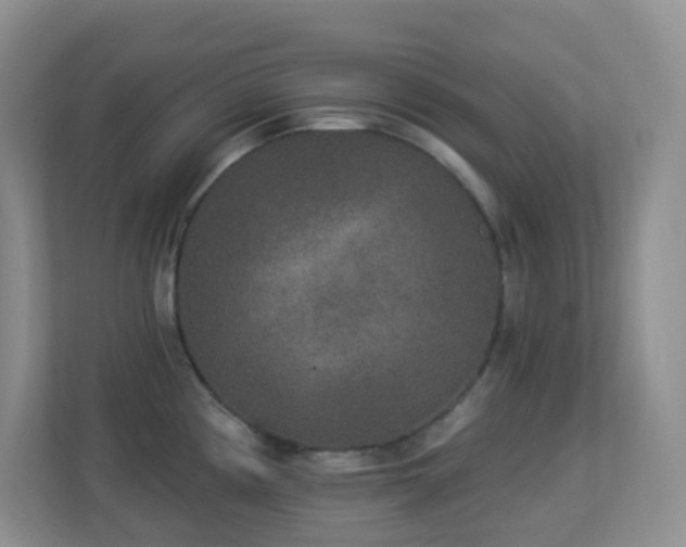 X0000113881194200909241346