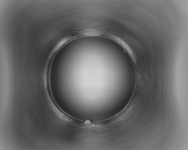 X0000113881195200909241346