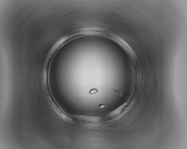 X0000113881196200909241346