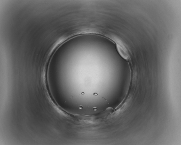 X0000113881197200909241346