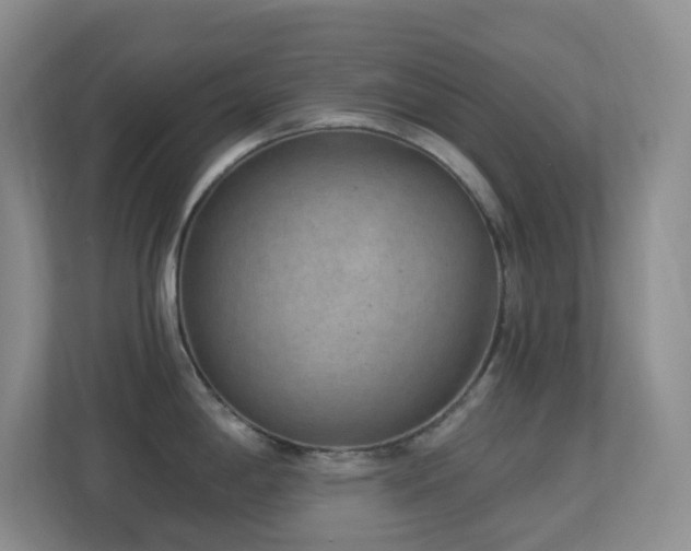 X0000113881198200909241346