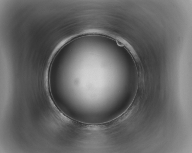 X0000113881199200909241346