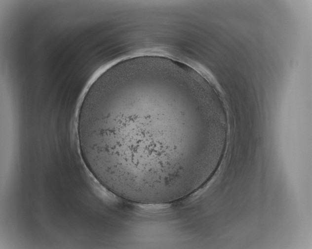X0000113881200200909241346