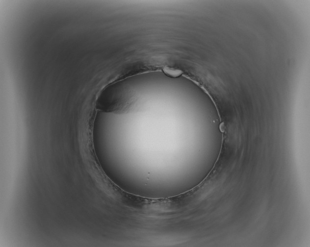 X0000113881201200909241345