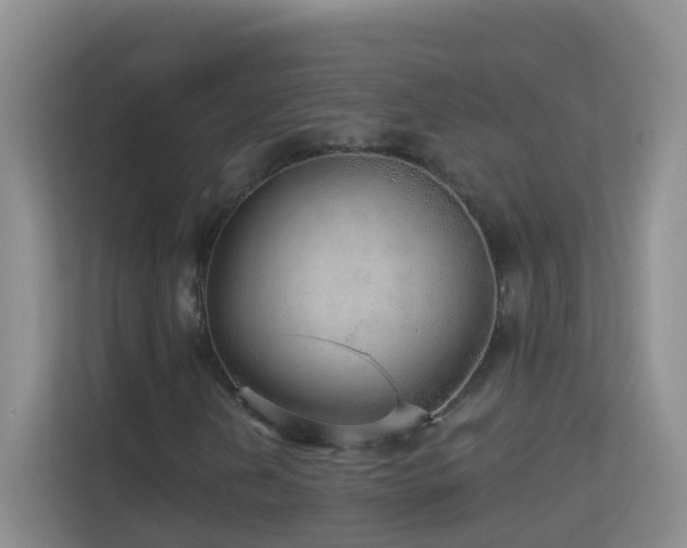 X0000113881202200909241345