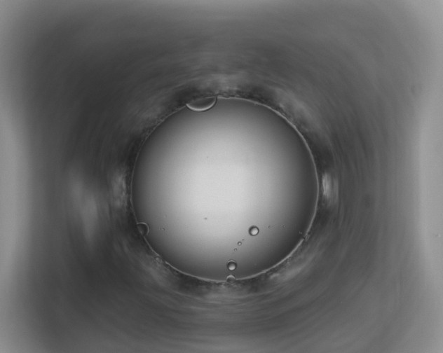 X0000113881203200909241345