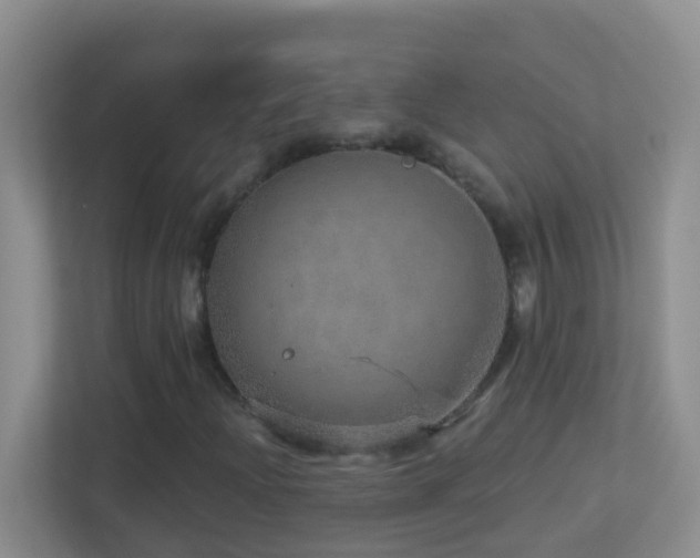 X0000113881204200909241345