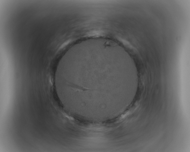 X0000113881206200909241345