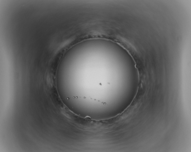 X0000113881207200909241345