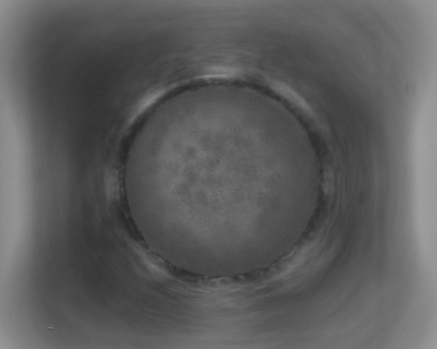 X0000113881208200909241345